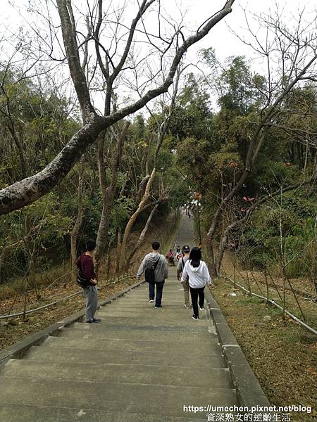 IMG_20210212_140402.jpg IMG_20210212_140402.jpg