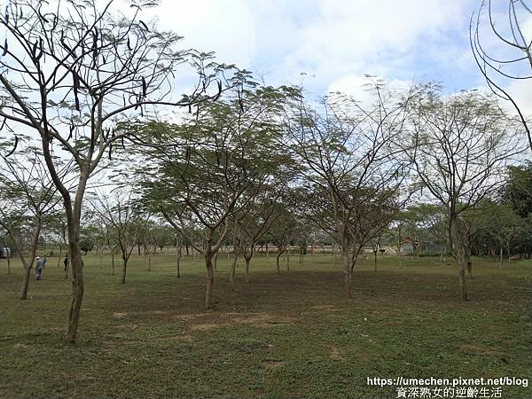 IMG_20210212_140801.jpg IMG_20210212_140801.jpg