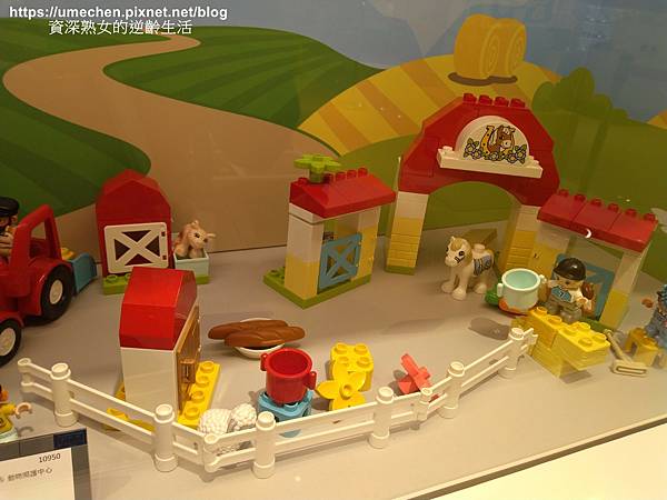 IMG_20210416_195236.jpg IMG_20210416_195236.jpg