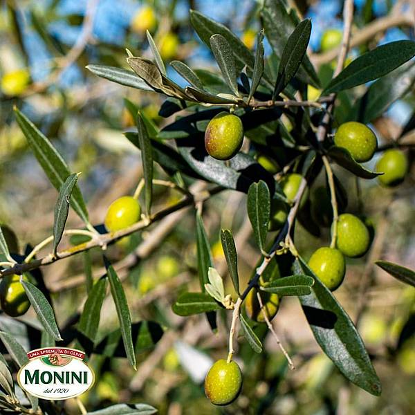 110207.jpg 110207.jpg