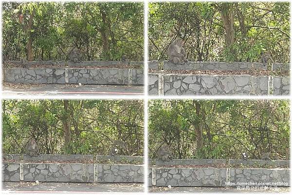 IMG_20210502_121326.jpg IMG_20210502_121326.jpg