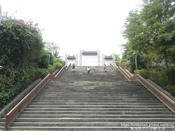 IMG_20210502_121521.jpg IMG_20210502_121521.jpg