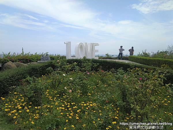 IMG_20210502_121635_1.jpg IMG_20210502_121635_1.jpg