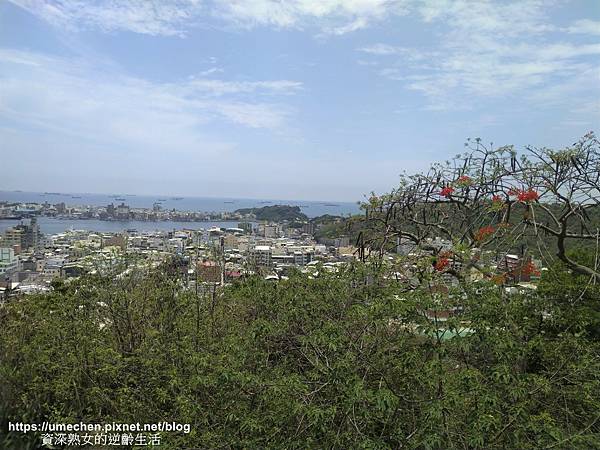 IMG_20210502_122044.jpg IMG_20210502_122044.jpg