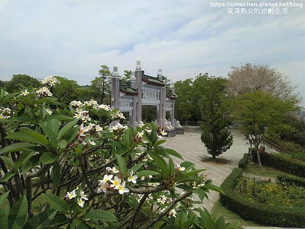 IMG_20210502_122240.jpg IMG_20210502_122240.jpg