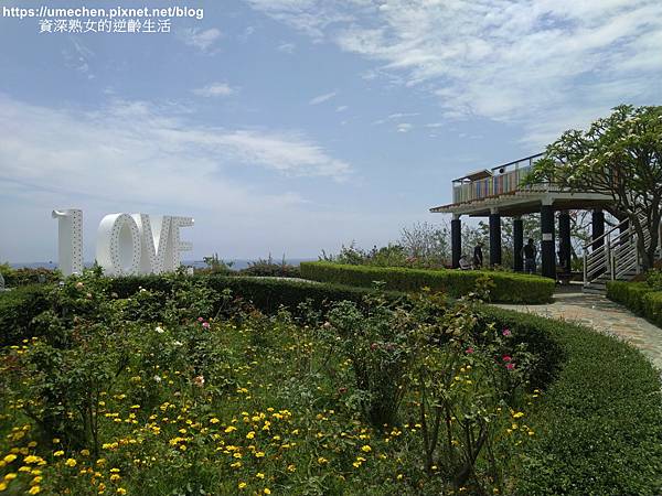 IMG_20210502_122951.jpg IMG_20210502_122951.jpg