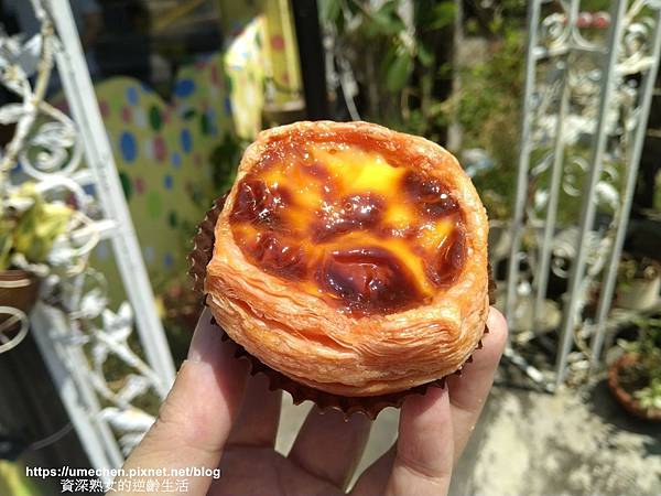 酒心櫻桃3.jpg 酒心櫻桃3.jpg