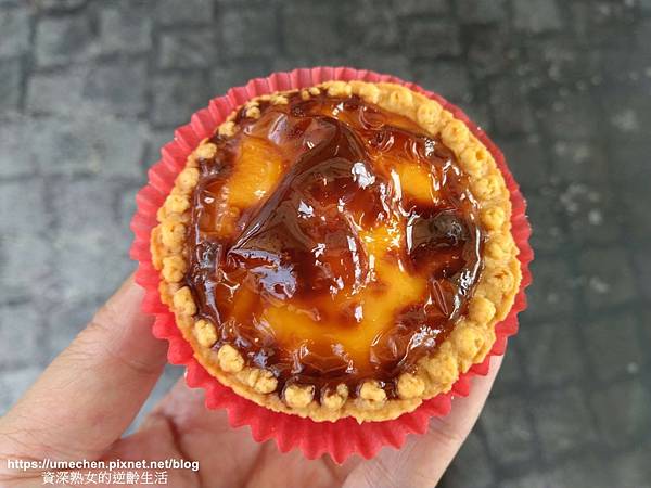 野生藍莓2.jpg 野生藍莓2.jpg