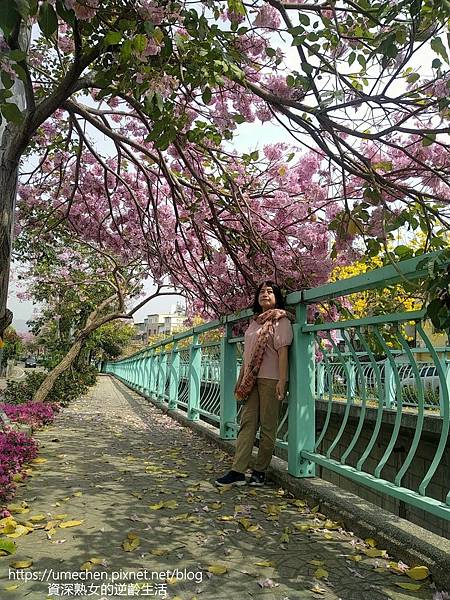 147576.jpg 147576.jpg