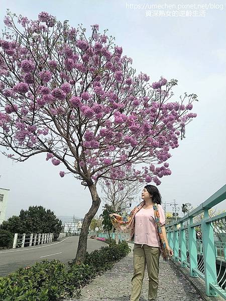 147574.jpg 147574.jpg