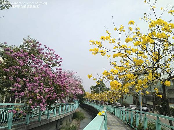 IMG_20220316_122428.jpg IMG_20220316_122428.jpg