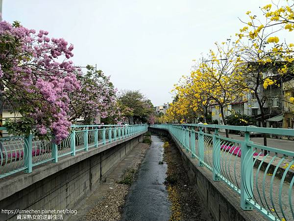 IMG_20220316_121201.jpg IMG_20220316_121201.jpg