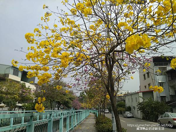 IMG_20220316_122327.jpg IMG_20220316_122327.jpg