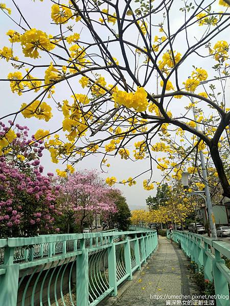 IMG_20220316_122440.jpg IMG_20220316_122440.jpg