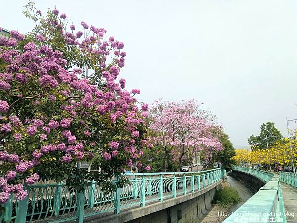 IMG_20220316_122457.jpg IMG_20220316_122457.jpg