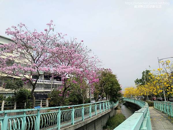 IMG_20220316_122512_1.jpg IMG_20220316_122512_1.jpg