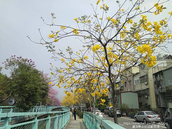 IMG_20220316_122528.jpg IMG_20220316_122528.jpg