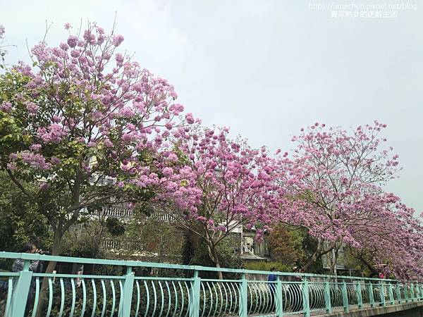 IMG_20220316_122645.jpg IMG_20220316_122645.jpg