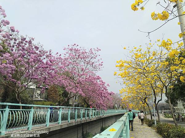 IMG_20220316_122647.jpg IMG_20220316_122647.jpg