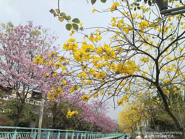 IMG_20220316_122612.jpg IMG_20220316_122612.jpg