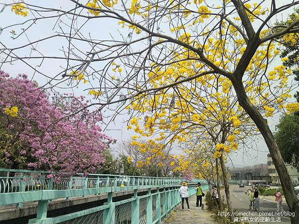 IMG_20220316_122708.jpg IMG_20220316_122708.jpg