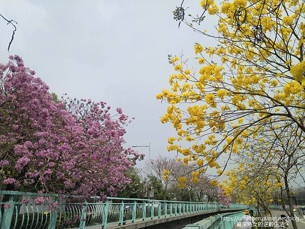 IMG_20220316_122717.jpg IMG_20220316_122717.jpg