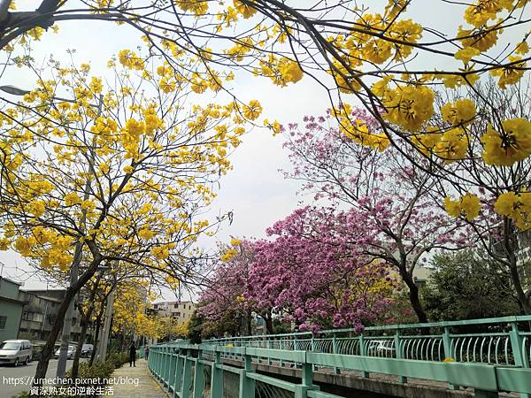 IMG_20220316_122757.jpg IMG_20220316_122757.jpg