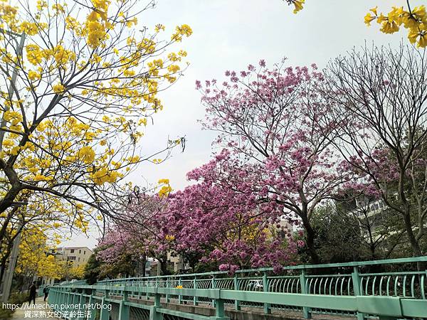 IMG_20220316_122805.jpg IMG_20220316_122805.jpg