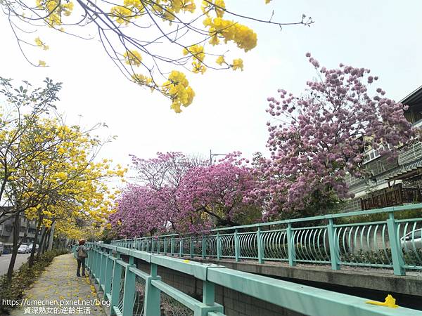 IMG_20220316_123702.jpg IMG_20220316_123702.jpg