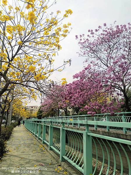 IMG_20220316_122809.jpg IMG_20220316_122809.jpg