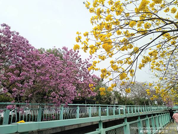 IMG_20220316_123625.jpg IMG_20220316_123625.jpg