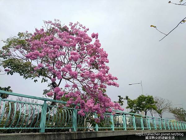 IMG_20220316_123741.jpg IMG_20220316_123741.jpg