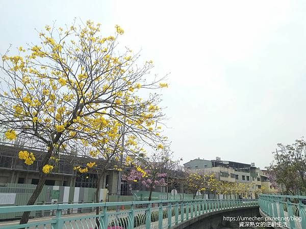 IMG_20220316_123948.jpg IMG_20220316_123948.jpg