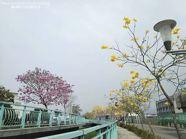 IMG_20220316_123851.jpg IMG_20220316_123851.jpg