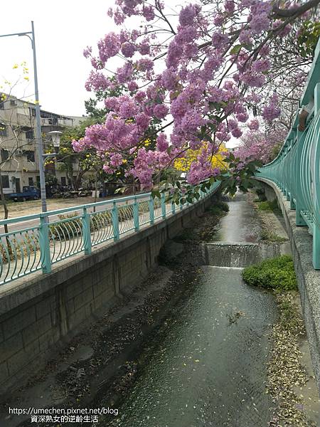 IMG_20220316_124525.jpg IMG_20220316_124525.jpg