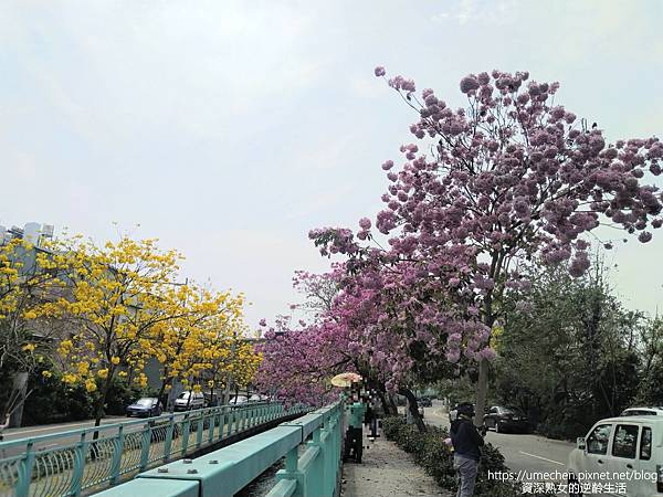 IMG_20220316_124702.jpg IMG_20220316_124702.jpg