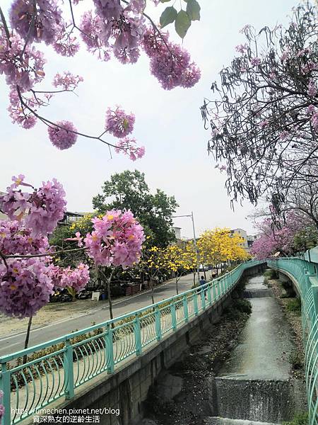 IMG_20220316_124606.jpg IMG_20220316_124606.jpg