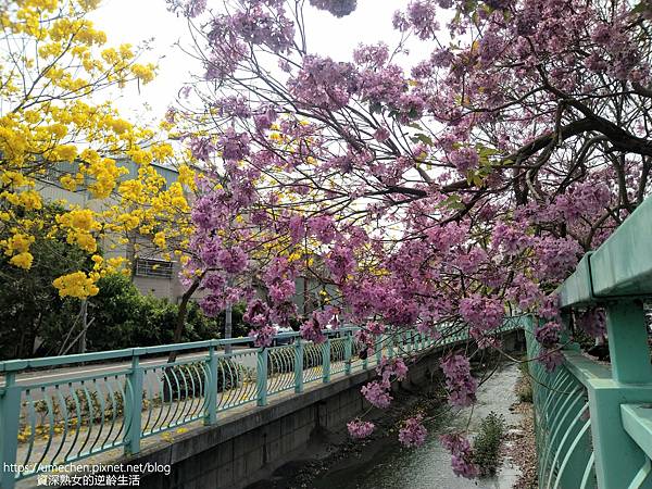 IMG_20220316_124729.jpg IMG_20220316_124729.jpg