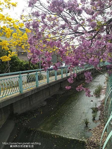 IMG_20220316_124743.jpg IMG_20220316_124743.jpg