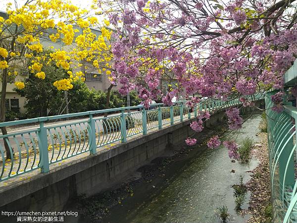 IMG_20220316_124750.jpg IMG_20220316_124750.jpg