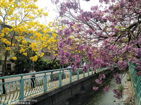 IMG_20220316_124825.jpg IMG_20220316_124825.jpg