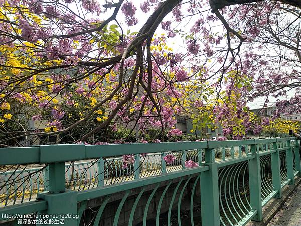 IMG_20220316_124837.jpg IMG_20220316_124837.jpg