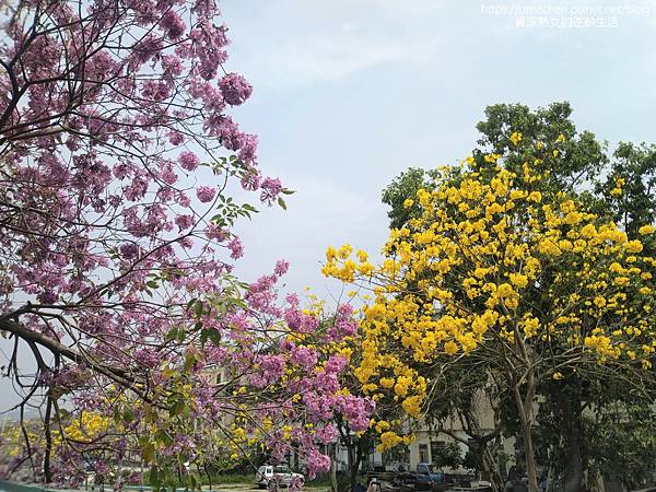 IMG_20220316_124850.jpg IMG_20220316_124850.jpg