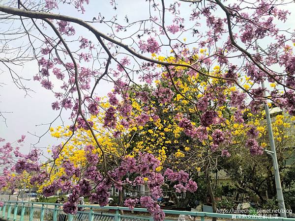 IMG_20220316_125014.jpg IMG_20220316_125014.jpg