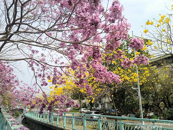 IMG_20220316_125211.jpg IMG_20220316_125211.jpg