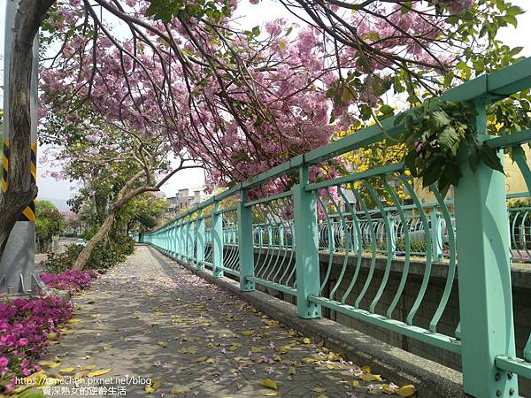 IMG_20220316_125635.jpg IMG_20220316_125635.jpg