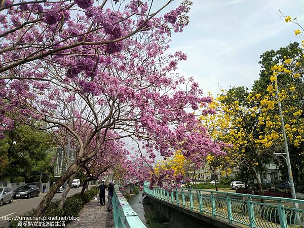 IMG_20220316_125236.jpg IMG_20220316_125236.jpg