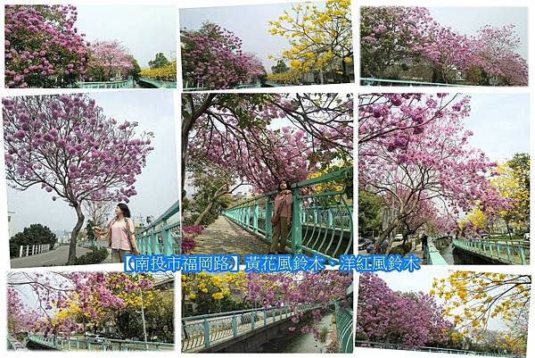 福岡路風鈴木.jpg 福岡路風鈴木.jpg