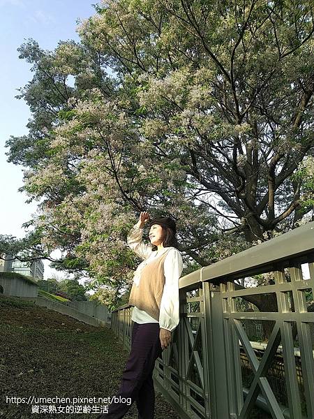 2022-03-26-18-20-03-322.jpg 2022-03-26-18-20-03-322.jpg