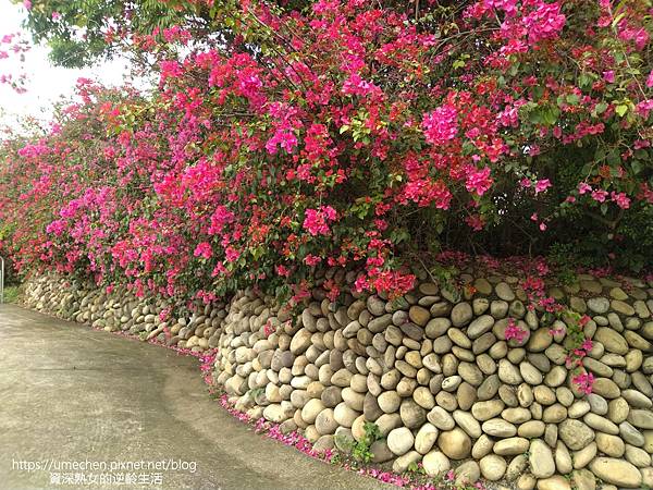 IMG_20220325_153129.jpg IMG_20220325_153129.jpg